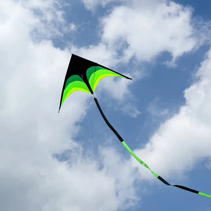 Outdoor Fun Large Delta Kites with 100m Handle Line Flying Toys for Children Kites Outdoor Sports Kites Professional Wind Kites