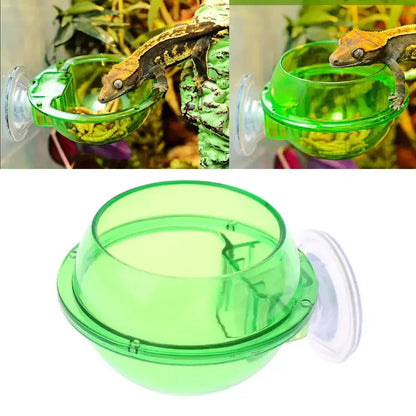 Reptile Pet Feeding Bowl Clear Anti-escape Pet Bowl Insect Worm Food Container Water Bowl for Lizard Gecko Chameleon Reptile Pet