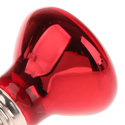 25/40/50/60/75/100W E27 UVA Poultry Bulb Infrared Night Light Day Poultry Heating Bulb For Plants Amphibians Reptile Pets