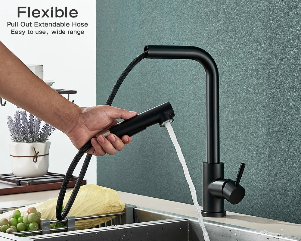 Rozin Flexible Gourmet Kitchen Faucet Black Pull Out 2 Ways Nozzle Faucets 360° Rotation Hot Cold Water Sink Mixer Tap SUS304