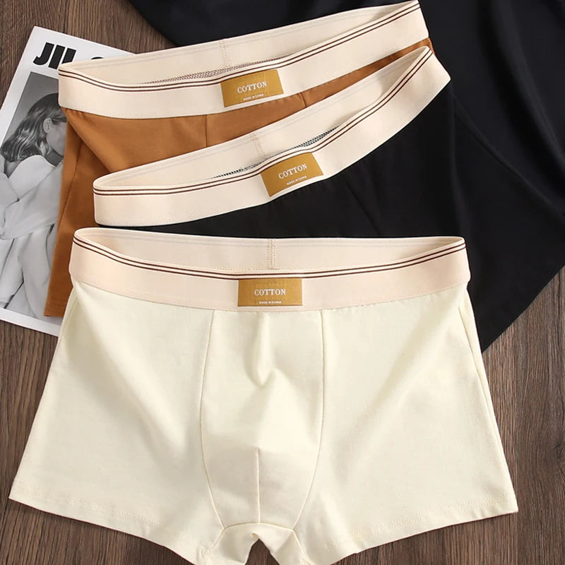 5Pcs/Lot Men Underwear Pure Cotton Boxer Shorts Hombre Panties Man Breathable Underpants Sexy Sports Comfort Male Boxers L-4XL