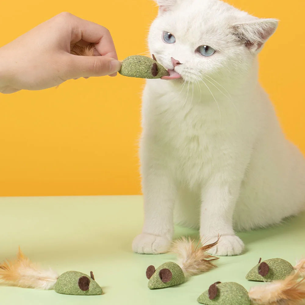 Mouse Cat Toys Catnip Feather Ball Self Cleaning Teeth Interactive Home Chasing Game Toy Products Cat Mint Ball Training Toys