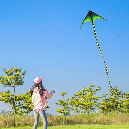 Adult-sized large delta-wing kite. Easy to fly. Extra-large delta-wing kite, equipped with a 6-meter long tail.