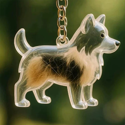 New Clear Puppy Hair Memorial Keepsake Capsule Pet's Dog Fur Container DIY Pendant Keychain Decor Pet Lovers Home Display Gifts