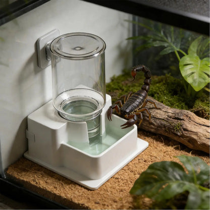 1pc Automatic Reptile Feeder Automatic Detachable Reptile Bowl Tortoise Water Dish Gecko Drink Dispenser For Lizard Chameleon