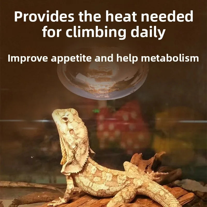 SuperRep Reptile Basking Spotlight-UVA Focused Heat Lamp for Tortoises&Bearded Dragons-Adjust Beam Sunning Light for Terrariums