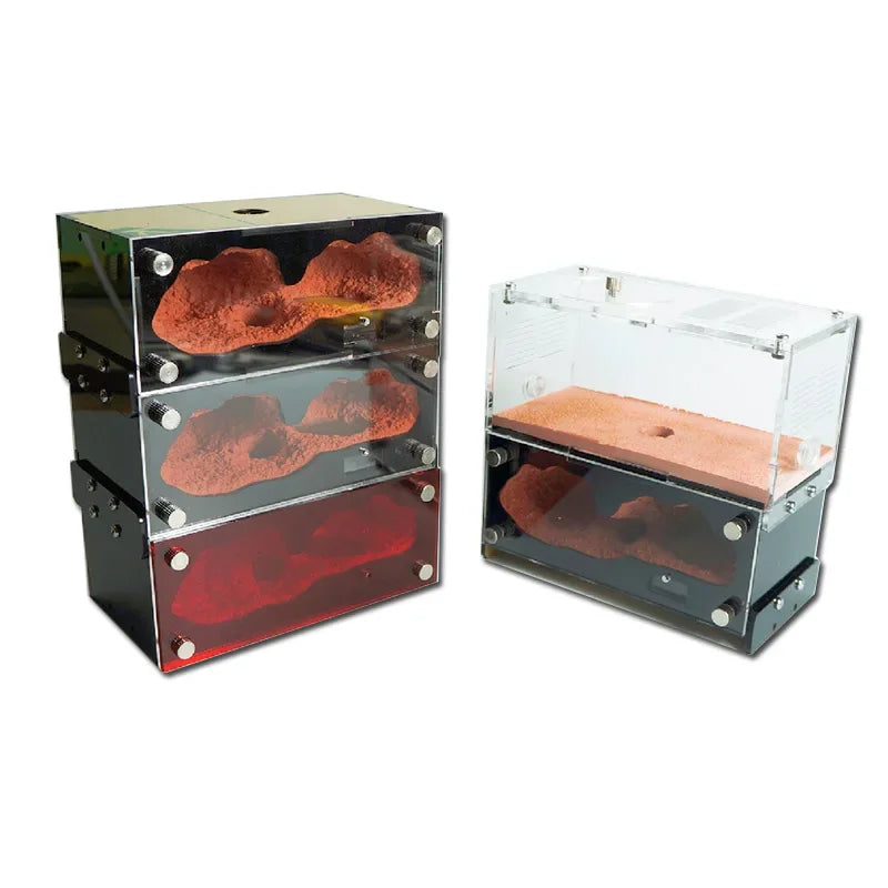 Concrete Ant Farm Acrylic Ant Nest with Hunting Area Unlimited Expansion Ant House Pet Anthill Workshop Moisturizing Insect Box