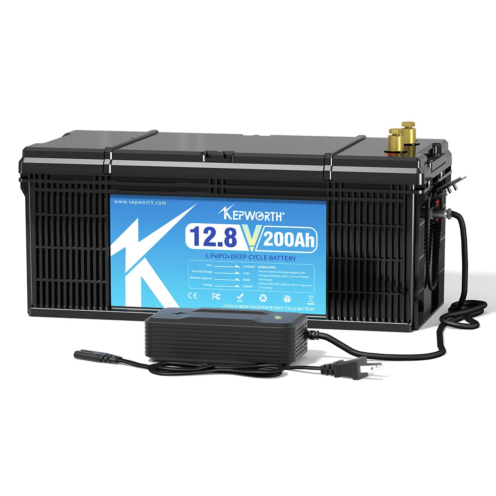 12V/24V LiFePO4 Battery with BMS - 30/50/100/120/135/300Ah for Golf Cart, Solar, RV, EV - Long Lifespan