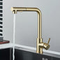 Rozin Flexible Gourmet Kitchen Faucet Black Pull Out 2 Ways Nozzle Faucets 360° Rotation Hot Cold Water Sink Mixer Tap SUS304