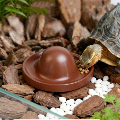 Plastic Reptile Feeder Bowl Round Wear Resistant Turtle Food Dish Escape Proof Wide Mouth Feeder Ledge for Amphibians
