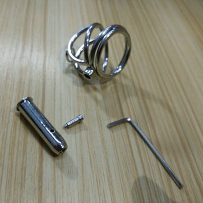 Steel Prince Albert Chastity Cage Male Urethral BDSM Bondage Unique Design Metal Cock Cage Men Cbt Lock Chastity Device