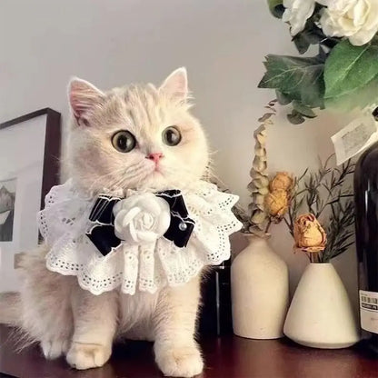 Elegant Design Pearl Pet Collar Princess Style Lace Collar Bowtie Silk Material Headgear Pet Bow Accessories Special Occasions