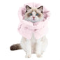 G92C Multifunctional Cats Collar Soft Prevents Licking Daily Use And Surgeries