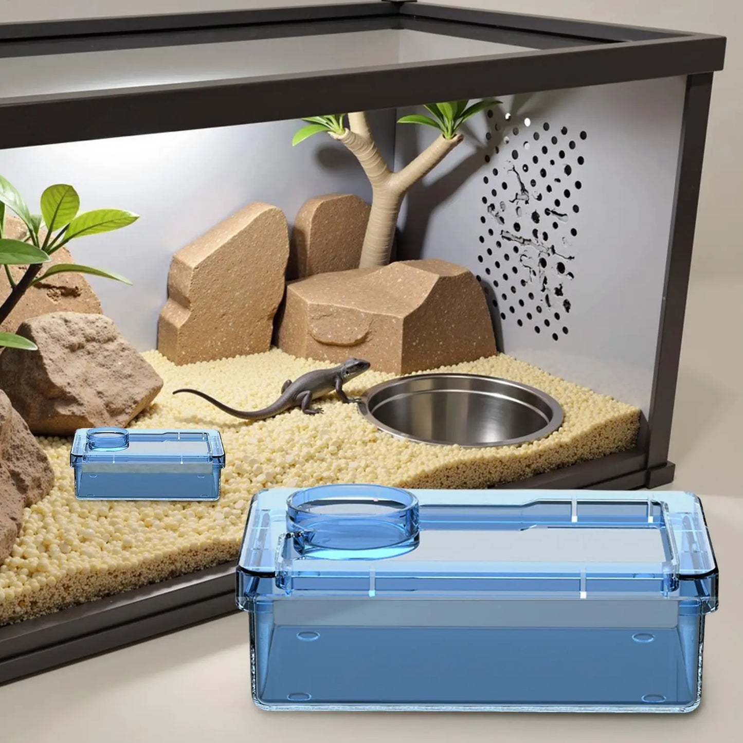 Reptile Lizards Geckos Feeding Bowls Prevent Tenebrio Molitor and Blaptica Dubia Anti Overturning Trough Feeder Transparent