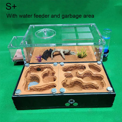 Concrete Ant Farm House Super Large Yellow Mud Ant Nest Gypsum Pet Anthill Insect Castle M Workshop Ant House with Hunting Area