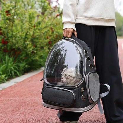2026 New Portable Cat Bag Transparent Space Cabin Shoulder Dog Cat Travel Small Pet Bag Adjustable Shoulder Strap