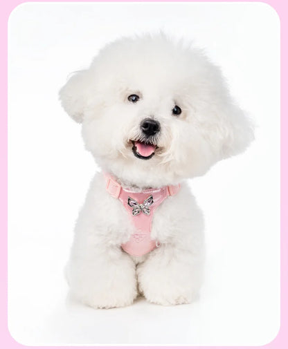 Butterfly Decor & Matching Leash Dog Harness for Small Dogs - Escape Proof Lightweight Vest