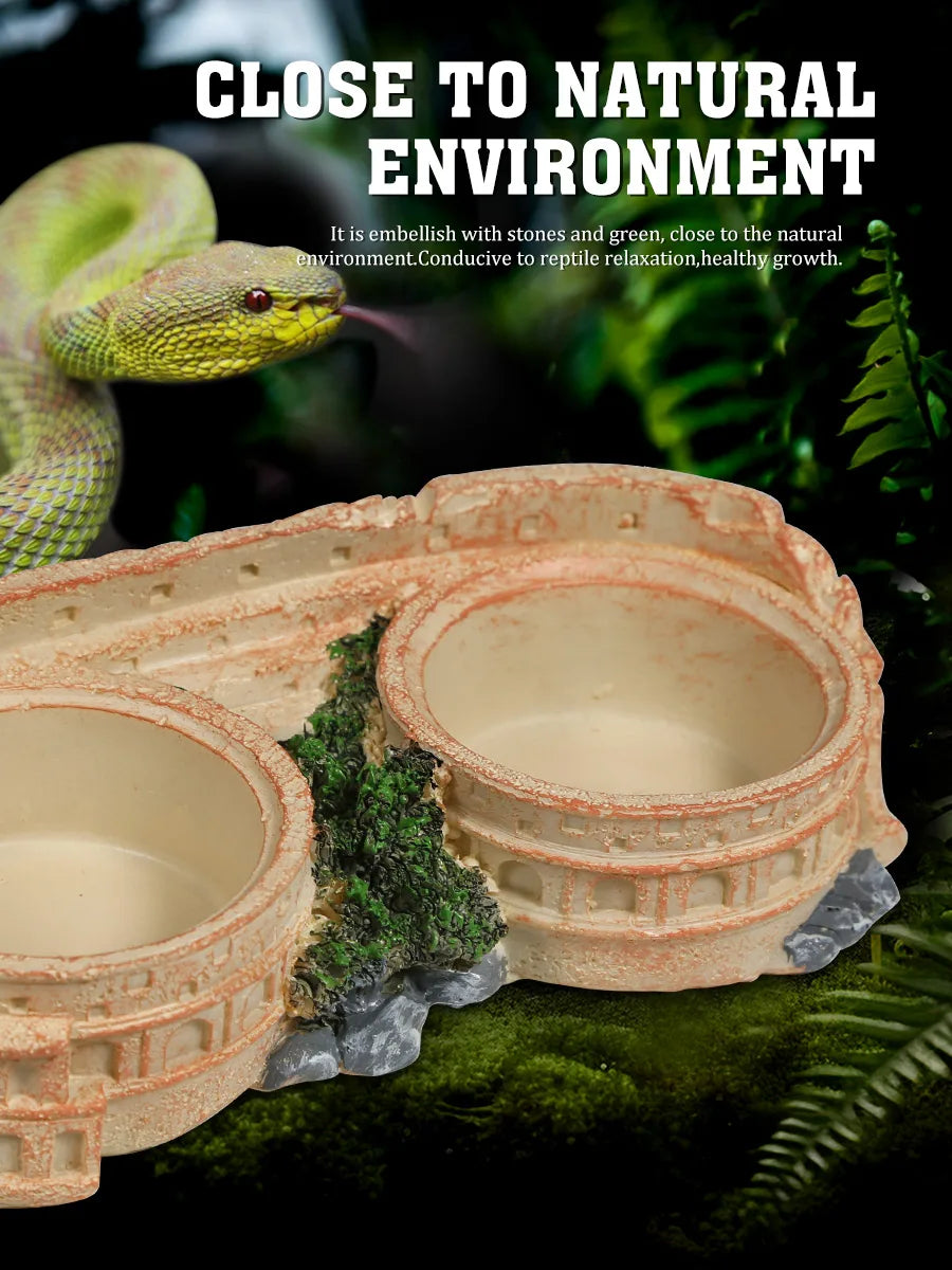 Two-in-One Reptile Food and Water Bowl, resin material, includes 2 easy-clean plastic bowls, suitable for lizards, geckos