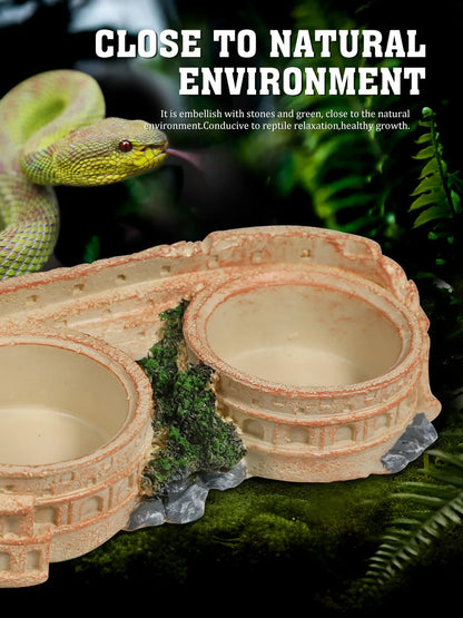 Two-in-One Reptile Food and Water Bowl, resin material, includes 2 easy-clean plastic bowls, suitable for lizards, geckos