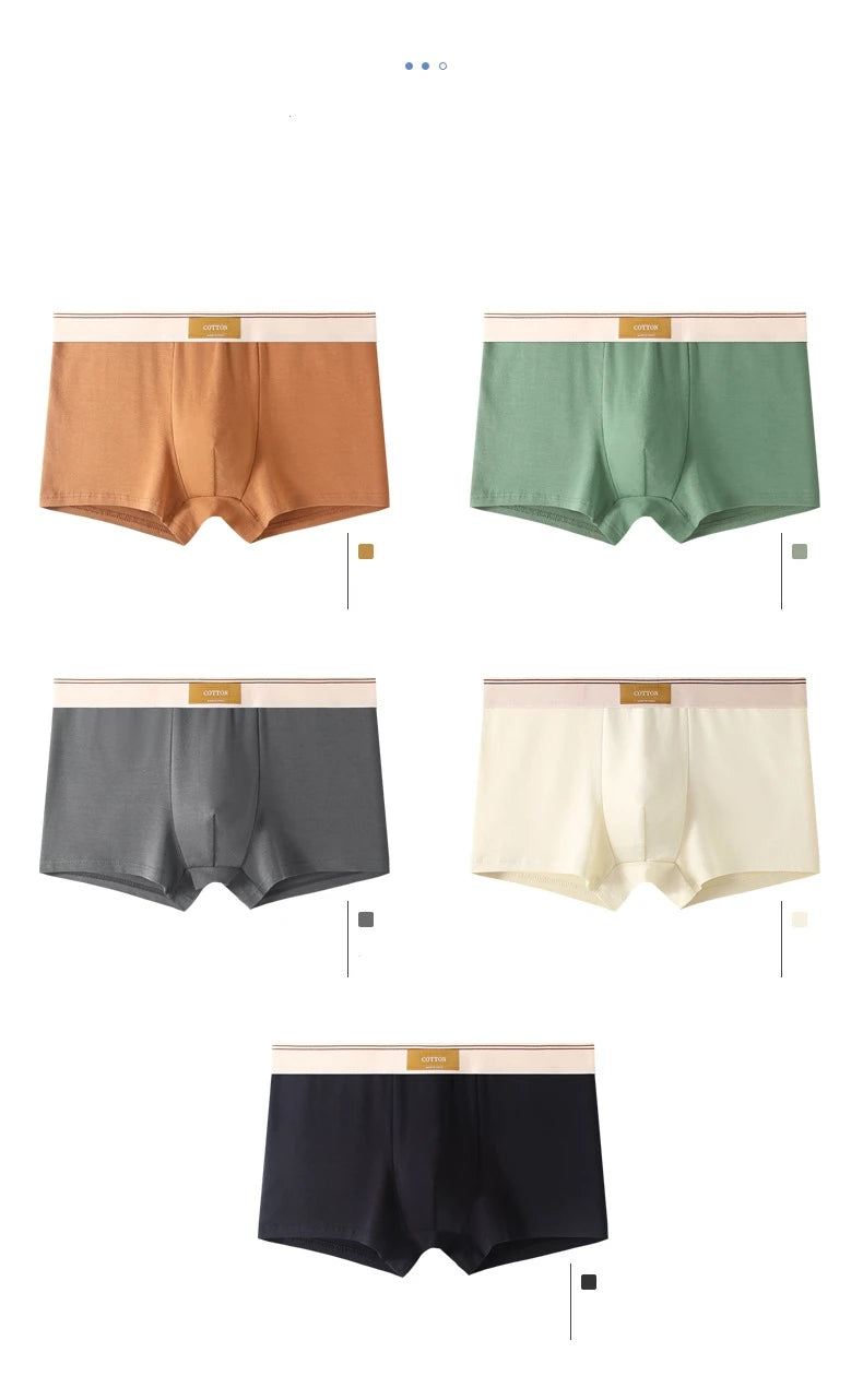 1/3Pcs Set Solid Color Men's Boxer Shorts Breathable Cotton Elastic Boyshorts Antibacterial 7A Level Comfortable Male Underwear