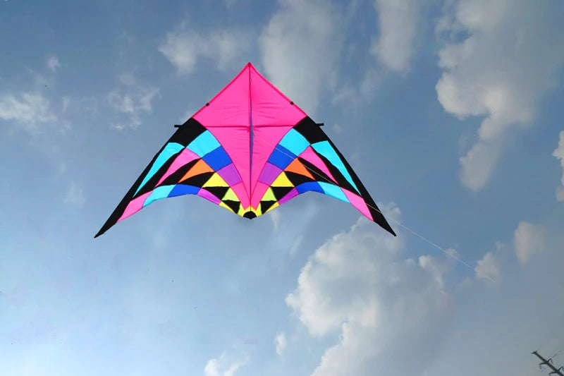 Free shipping large delta kites professional for adults kites flying toys sport kites windsurfing show kites fried flight kites