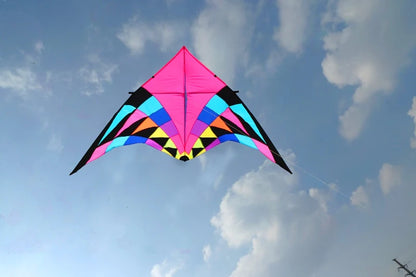 Free shipping large delta kites professional for adults kites flying toys sport kites windsurfing show kites fried flight kites