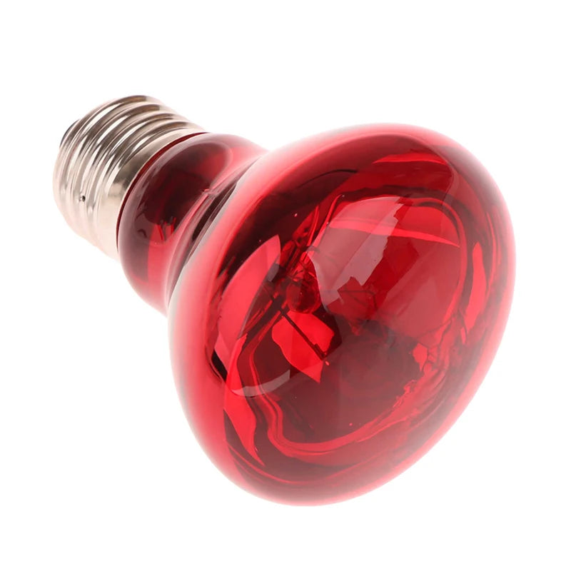 25/40/50/60/75/100W E27 UVA Poultry Bulb Infrared Night Light Day Poultry Heating Bulb For Plants Amphibians Reptile Pets