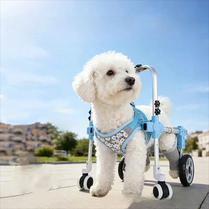 Pet Dog Wheelchair Cart Adjustable Pet Mobility Aid with Wheels Disabled Cat Dog Rehabilitation Walking Mobility Aid Pet Bracket