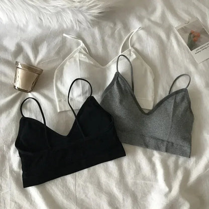 Women's Sports Bra Set Underwear Bra Korean Style Push Up No Steel Ring Bra Sexy Tube Top High Elastic Panty Set