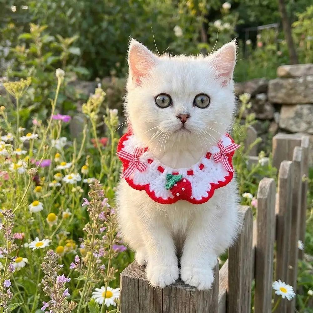 Stylish Adjustable Flower Pet Scarf Bib Sweet Decorative Knitted Cat Scarf Cozy Handmade Cat Woven Bib Spring Collection