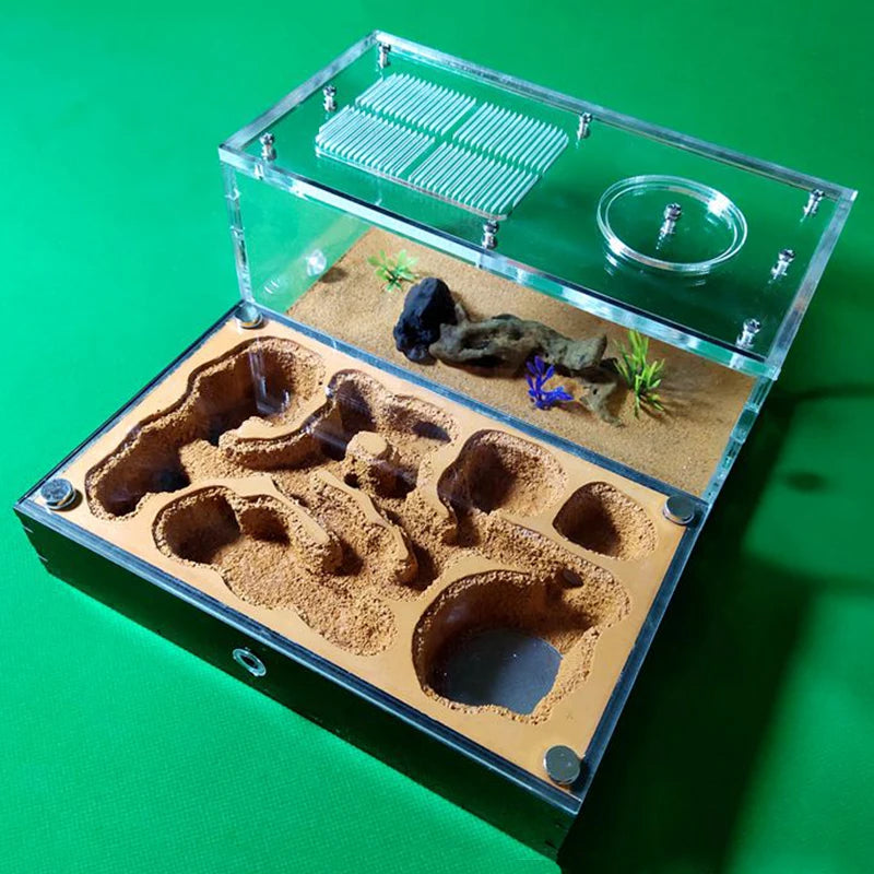 Concrete Ant Farm House Super Large Yellow Mud Ant Nest Gypsum Pet Anthill Insect Castle M Workshop Ant House with Hunting Area