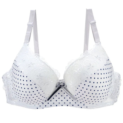 DaiNaFang New Lace Bras 34/75 36/80 38/85 40/90 42/95 44/100 BCDE Underwear For Women Push Up Lingerie