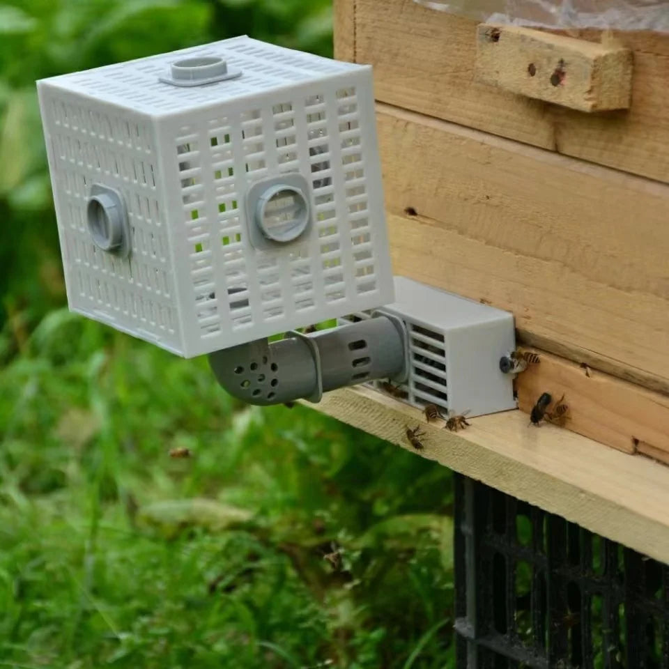 Beekeeping Divide Bee Tool Automatic Bee Divider Prevent Escaping Bees Remove Male Bee Beekeeper Tools Beehive Accessories 1Pc
