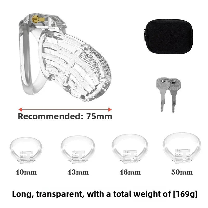 BDSM Chastity Cage 4 Size Ring Penis Cage Device Femdom Restraint Penis Lock Breathable Urethral Lock Bondage Device for Men