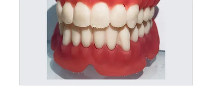 Dentistry Resin Gingival casting Photocuring 3D Printing 405nm Guide Plate Compression mold Dental Mold lcrown Repair Non-toxic