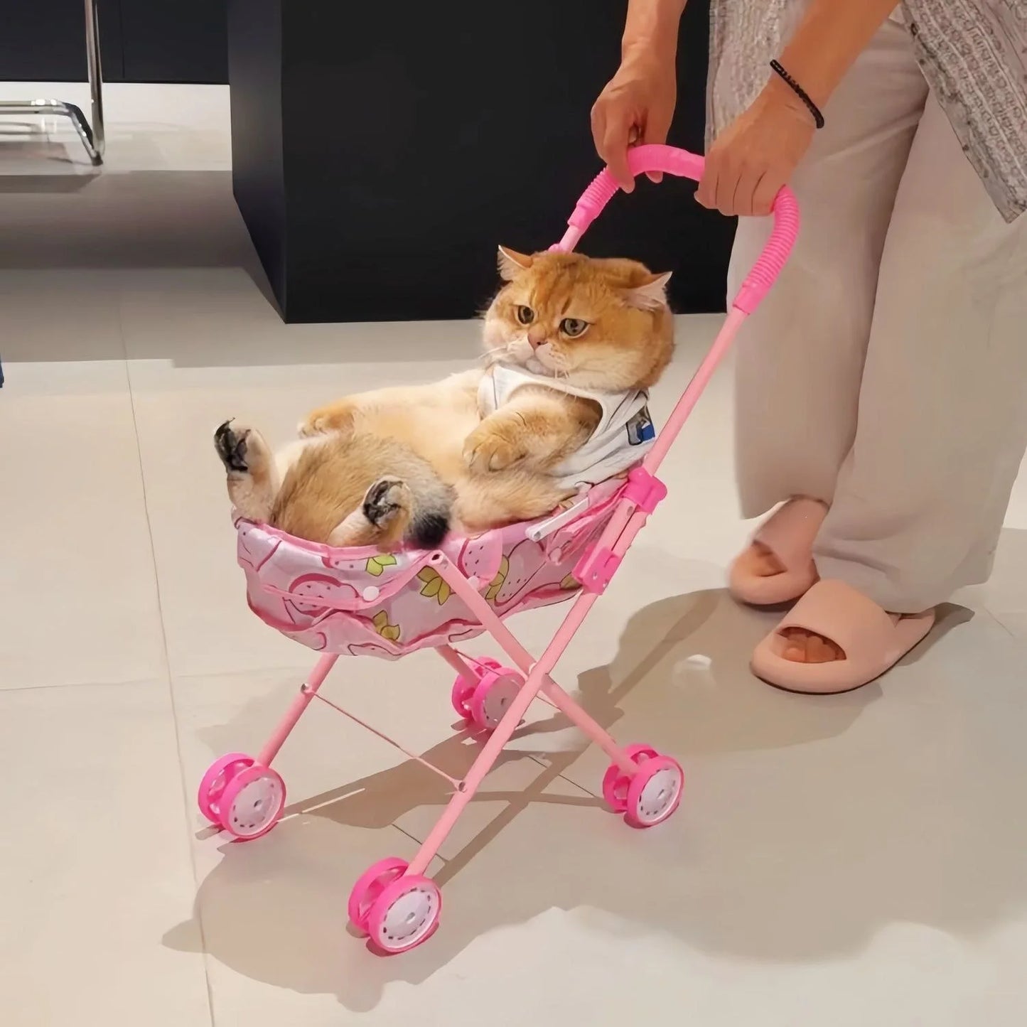 Foldable Portable Pet Stroller Sunshade Lightweight Travel Trolley for Dog Cat Outdoor Walking