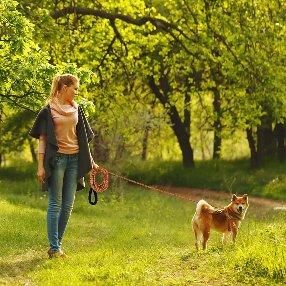 Dog Training Lead, Long Dog Lead 1.5M/2M/3M, Long Rope with Padded Handle for Small, Medium/Large Dog
