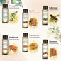 EUQEE Floral Essential Oils Set Of 6 Bottles For Diffuser,Candle Making-Rose Lavender Ylang Ylang Jasmine Geranium Chamomile