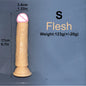 Cheap Realistic Butt Plug Jelly Dildo 5 Sizes Man Women Anal Sex Toys Gay Suction Cup Big Dick Soft Masturbators Small Penis