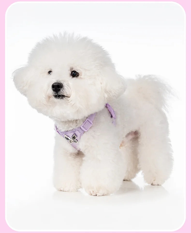 Butterfly Decor & Matching Leash Dog Harness for Small Dogs - Escape Proof Lightweight Vest
