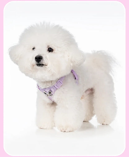 Butterfly Decor & Matching Leash Dog Harness for Small Dogs - Escape Proof Lightweight Vest