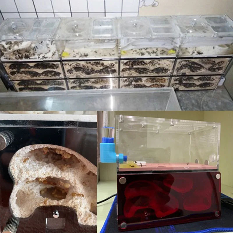 Expanded Anthill Ant House Acrylic Ant Kennel Insect Box Concrete Ant Farm Intelligent Temperature Control Ants Nest Spliceable