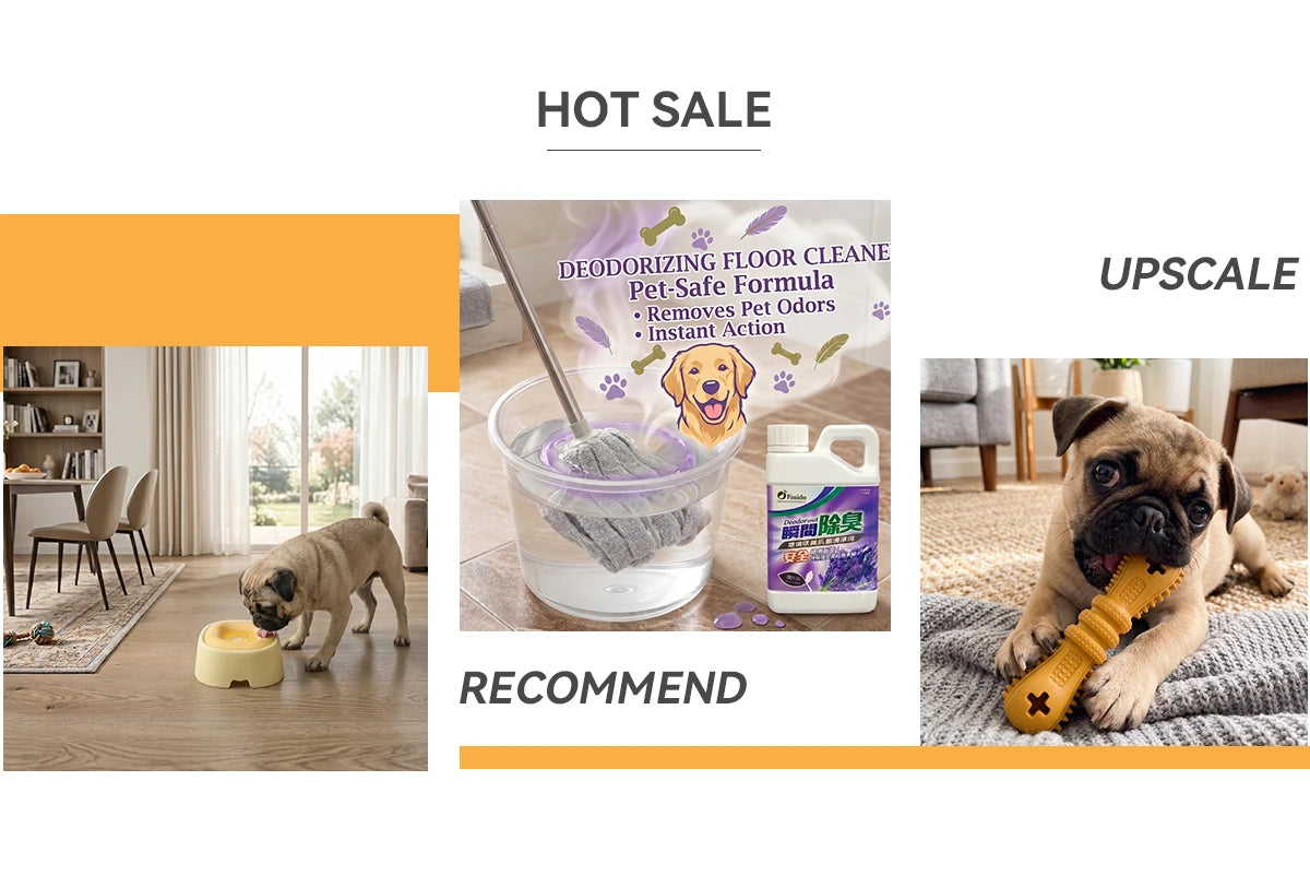 Premium Portable Dog And Cat Travel Carriage Collapsible Pet Stroller For Safe Daily Pet Outing