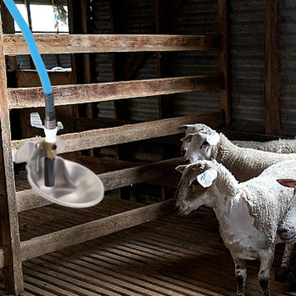 Automatic Goat Sheep Water Drinker Bowl Stainless Steel Lamb Drinker Waterer With Copper Valve Farm Animal Dog Feeding Supplies