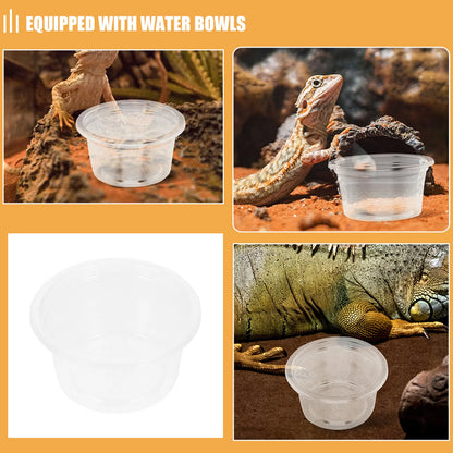 30Pcs Reptile Feeding Dishes Plastic Food Water Bowls for Small Pets Geckos Lizards Snakes Tank Supplies Accessories