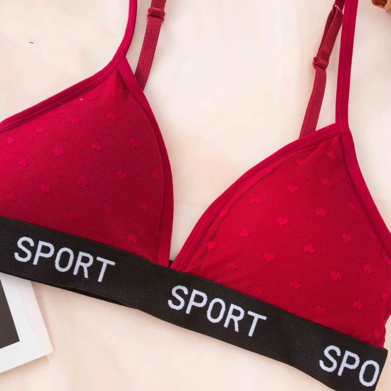 Women Lace Bra And Panties Set Sheer Polka Dot Sexy Lingerie Non-wire Bralette Low Rise Thong Letter Band Mesh Underwear Set