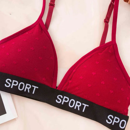 Women Lace Bra And Panties Set Sheer Polka Dot Sexy Lingerie Non-wire Bralette Low Rise Thong Letter Band Mesh Underwear Set