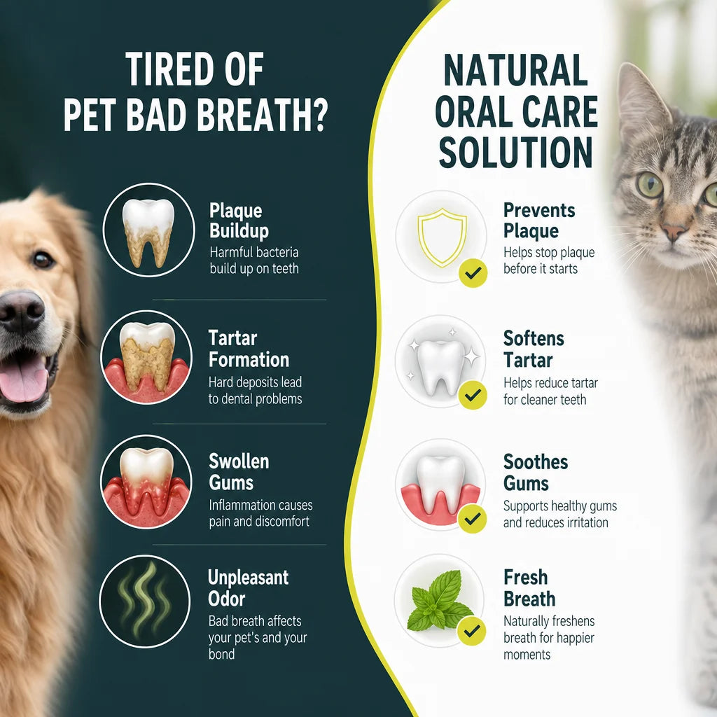 Natural Pet Dental Powder Clean Dog Teeth, Plaque Remover, Breath Treatment for Cats, Tartar Removal, Oral Care Food Supplement