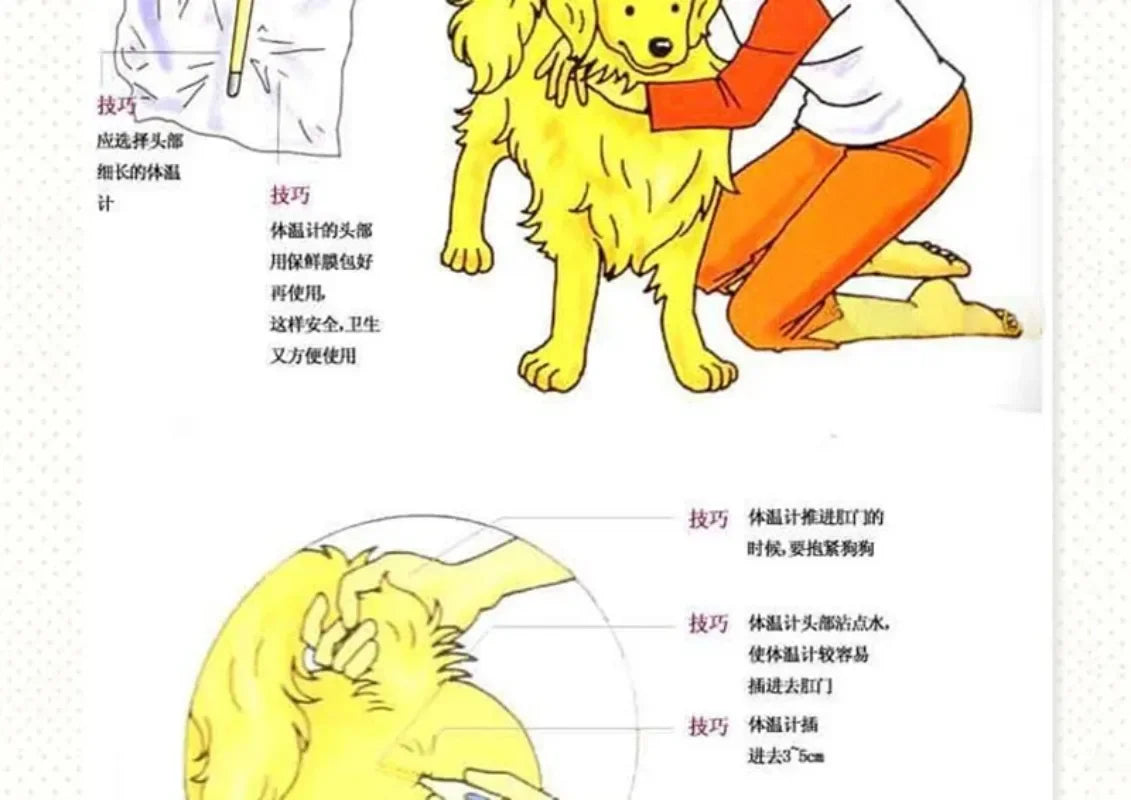 1PC Professional LED Pet Dog Cat Electronic Thermometer Safe Wet Dry Thermometer Veterinary Thermometer Pet Medical Equipment