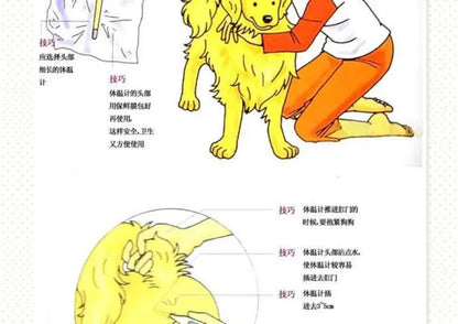 1PC Professional LED Pet Dog Cat Electronic Thermometer Safe Wet Dry Thermometer Veterinary Thermometer Pet Medical Equipment